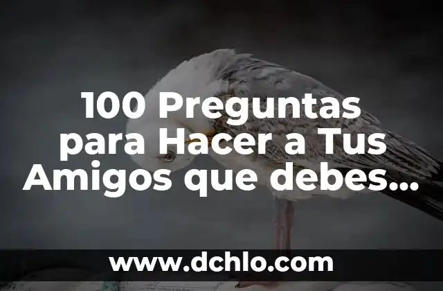 Significado de Favoritos: Todo Sobre tus Preferencias 4 100 Preguntas para Hacer a Tus Amigos que debes Preguntar
