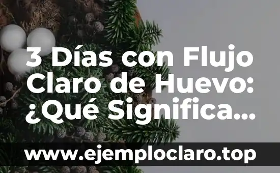 3 Días con Flujo Claro de Huevo: ¿Qué Significa y Cómo Afecta la Fertilidad?