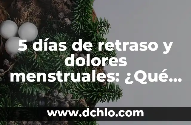 4 Dias Sin Comer ¿Cuánto Adelgaza? ¡Descubre la Verdad! 5 5 días de retraso y dolores menstruales: ¿Qué pasa?