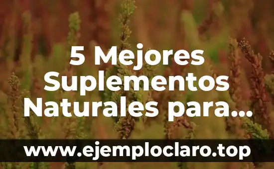 5 Mejores Suplementos Naturales para Bajar el Estrés y Ansiedad