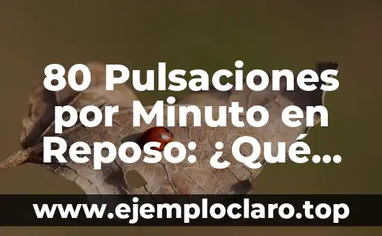 80 Pulsaciones por Minuto en Reposo: ¿Qué Significa para tu Salud?