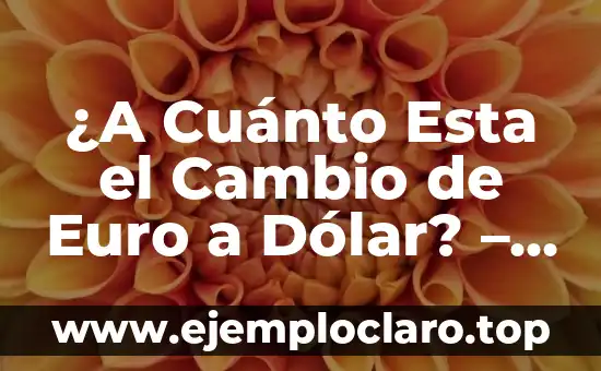 ¿A Cuánto Esta el Cambio de Euro a Dólar? - Tasas de Cambio en Tiempo Real