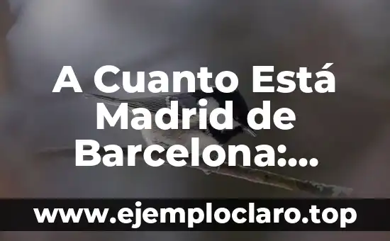 A Cuanto Está Madrid de Barcelona: Distancia y Opciones de Viaje