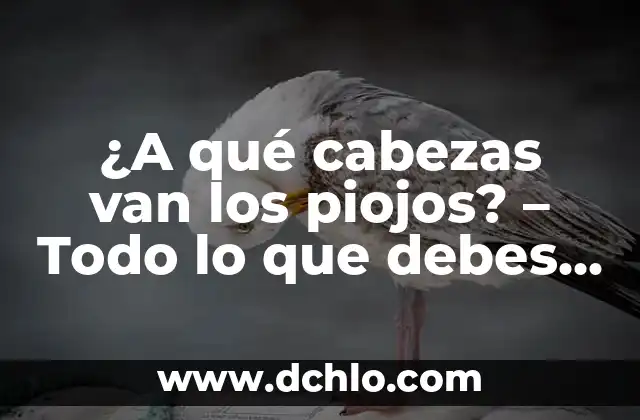 El Misterio del Niño de Dos Cabezas: Un Viaje a Través de la Historia y la Cultura 7 ¿A qué cabezas van los piojos? – Todo lo que debes saber sobre estos incómodos huéspedes