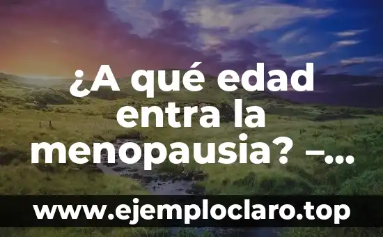 El significado de ser un bibliófilo: Todo lo que debes saber 7 ¿A qué edad entra la menopausia? – Todo lo que debes saber