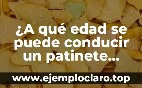 ¿A qué edad se puede conducir un patinete eléctrico? (Reglas y normas)