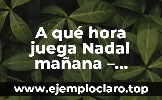 Nadal vs Federer 2008 Wimbledon Final: El Partido del Siglo 5 A qué hora juega Nadal mañana – Horario de partido de Rafael Nadal