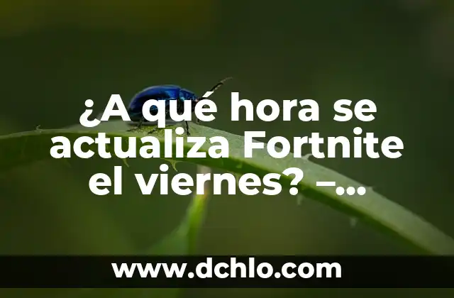 Actualiza Windows 8 a Windows 10: Guía Detallada y Completa 5 ¿A qué hora se actualiza Fortnite el viernes? – Actualizaciones y novedades