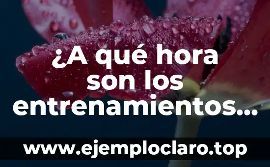 ¿A qué hora son los entrenamientos de Fórmula 1 en diferentes zonas horarias?