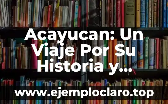 Acayucan: Un Viaje Por Su Historia y Cultura