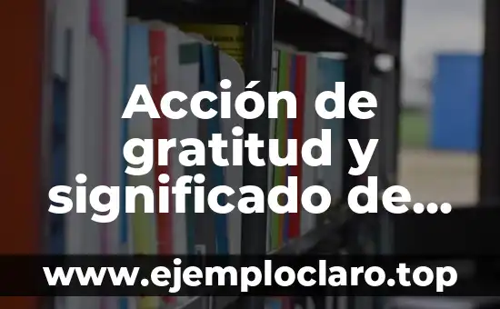 Frases para un amigo de verdad: Expresiones de aprecio y gratitud 6 Acción de gratitud y significado de la calabaza