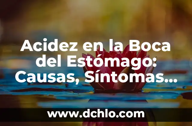 Dolores de Estómago en el Embarazo: Causas y Remedios Naturales 7 Acidez en la Boca del Estómago: Causas, Síntomas y Tratamientos