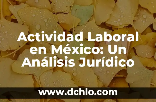 Significado Jurídico de Propter Rem 3 Actividad Laboral en México: Un Análisis Jurídico