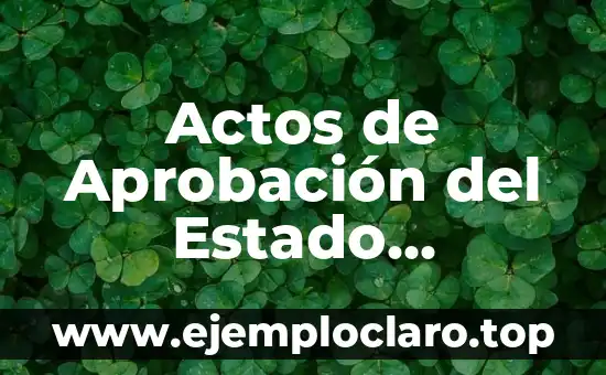 Audiencia 345 - Un Concepto Legal en el Estado de Veracruz 7 Actos de Aprobación del Estado Significado: Comprensión y Relevancia
