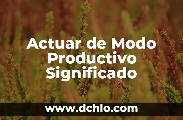Significado del Modo de Lavado 4 Actuar de Modo Productivo Significado