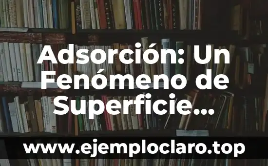 ¿Qué ha pasado con Cuentos Chinos? El fenómeno de la desaparición de una tradición oral 5 Adsorción: Un Fenómeno de Superficie Crucial