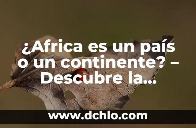 De qué se acusa a Begoña, la verdad detrás de la polémica 6 ¿Africa es un país o un continente? – Descubre la verdad