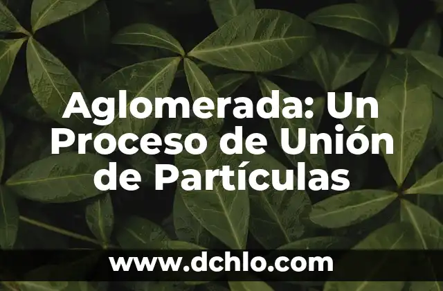 Panamericanismo, un concepto esencial en la unión continental 8 Aglomerada: Un Proceso de Unión de Partículas