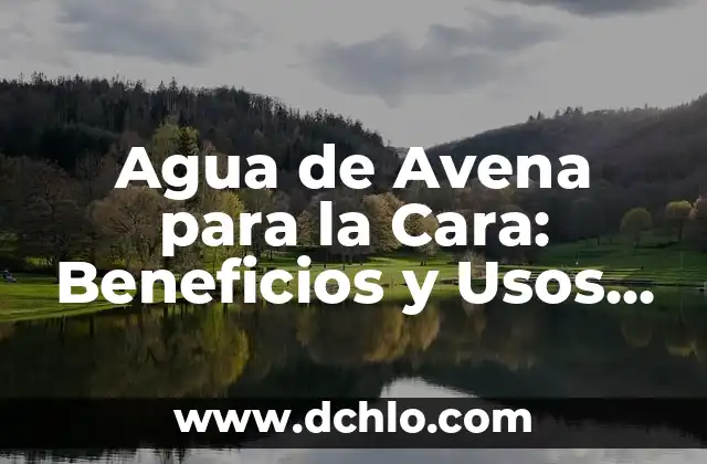 Cómo hacer colada con avena en hojuelas 8 Agua de Avena para la Cara: Beneficios y Usos para una Piel Saludable