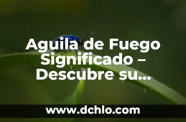 Pupila de Águila - El Profundo Significado de la Canción 4 Aguila de Fuego Significado – Descubre su Simbología y Orígenes