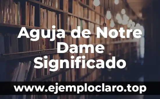 Significado de la destrucción de Notre Dame 8 Aguja de Notre Dame Significado