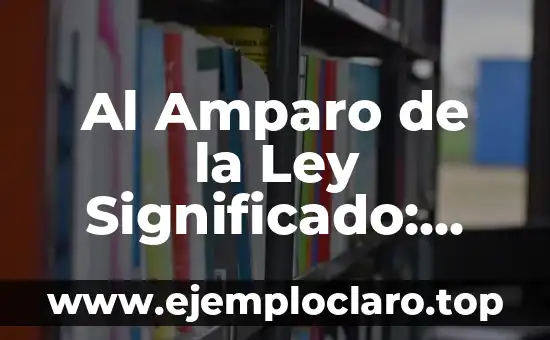 Interponer Recurso de Amparo Significado 4 Al Amparo de la Ley Significado: Understanding Legal Protection