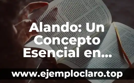 Alando: Un Concepto Esencial en Diversas Disciplinas
