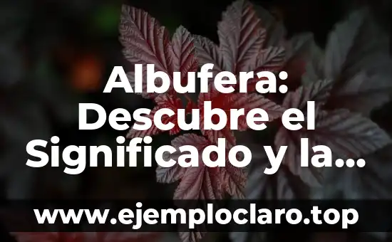 Concepto de Significado para V Muñiz 3 Albufera: Descubre el Significado y la Importancia de este Término Ambiental