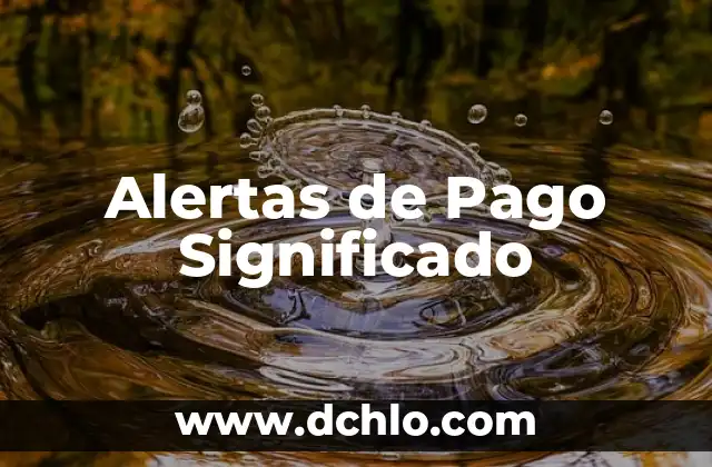 Métodos de Pago en Puebla: Una Visión General 6 Alertas de Pago Significado