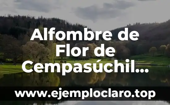 Alfombre de Flor de Cempasúchil Significado