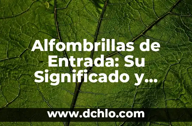 El Significado de ED: Descubre su Verdadero Propósito 5 Alfombrillas de Entrada: Su Significado y Propósito