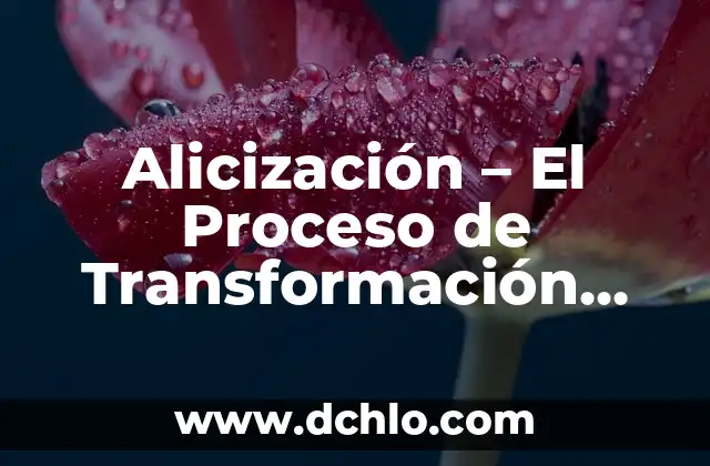 Fermentación: El Proceso Biológico Detrás de la Transformación 6 Alicización – El Proceso de Transformación Inspirado en Alicia en el País de las Maravillas