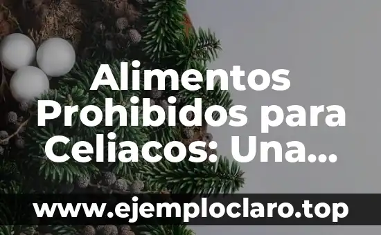 Alimentos Prohibidos para Celiacos: Una Guía Completa