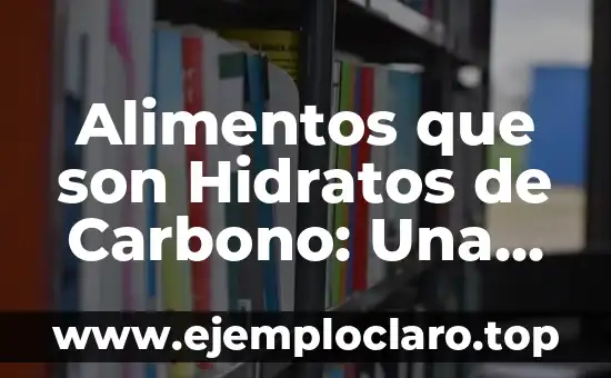 Alimentos que son Hidratos de Carbono: Una Guía Completa