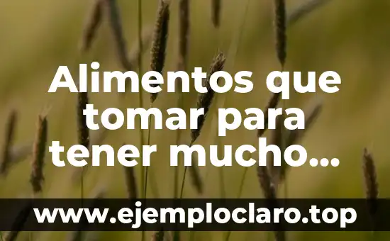 Alimentos que tomar para tener mucho esperma – Aumenta tu fertilidad