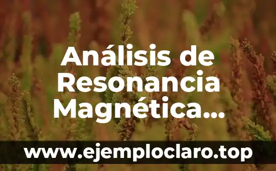 Análisis de Resonancia Magnética Cuántica Significado