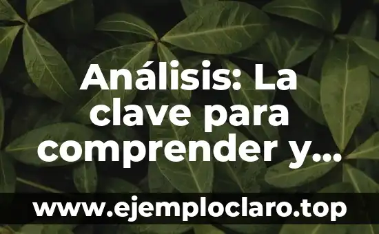Como hacer problemas de herencia de un solo gen 8 Análisis: La clave para comprender y resolver problemas