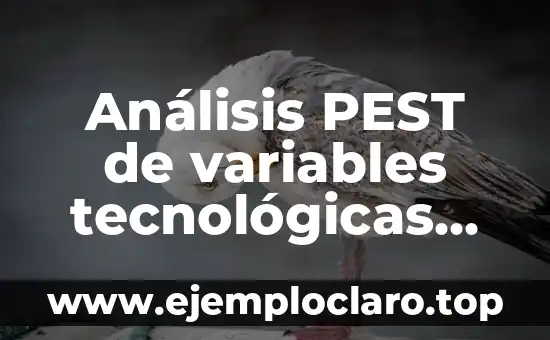 Factura de Dientes Significado Emocional: Un Análisis Profundo 7 Análisis PEST de variables tecnológicas ejemplo aplicado acuáticas