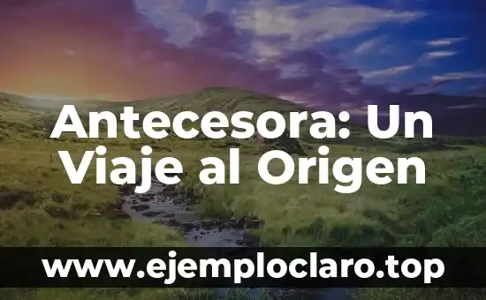 El Big Bang: El Origen del Universo - Una Teoría Científica Revolucionaria 8 Antecesora: Un Viaje al Origen