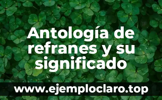 Significados de los Refranes Más Populares 4 Antología de refranes y su significado