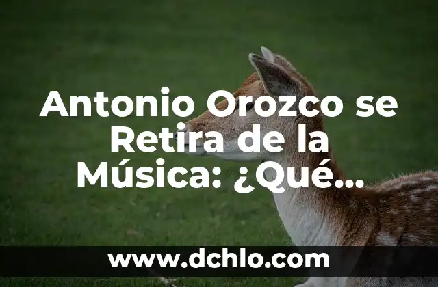 Cómo hacer un remix de música 6 Antonio Orozco se Retira de la Música: ¿Qué Significa para la Industria?