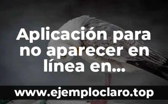 Cómo no aparecer en búsqueda de Facebook 8 Aplicación para no aparecer en línea en WhatsApp – Mantén tu privacidad