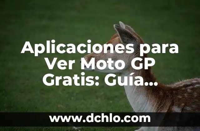 Significado del Manubrio de Moto 8 Aplicaciones para Ver Moto GP Gratis: Guía Completa