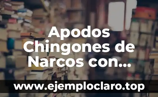 Apodos Chingones de Narcos con Significado: Un Viaje al Mundo del Crimen Organizado