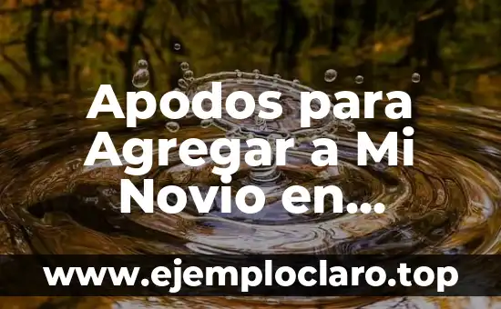 Ideas Originales de Regalos para Mi Novio: Descubre lo Mejor 7 Apodos para Agregar a Mi Novio en WhatsApp: Ideas Originales y Divertidas