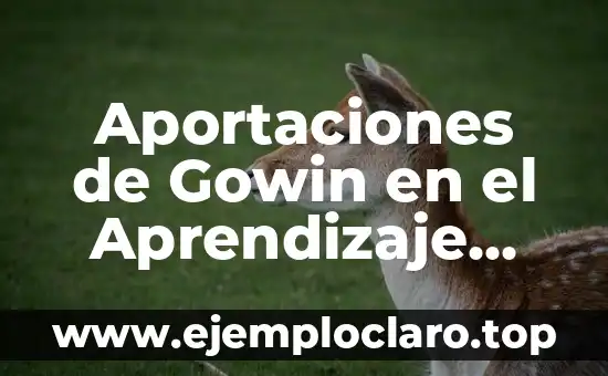 Aportaciones de Gowin en el Aprendizaje Significativo