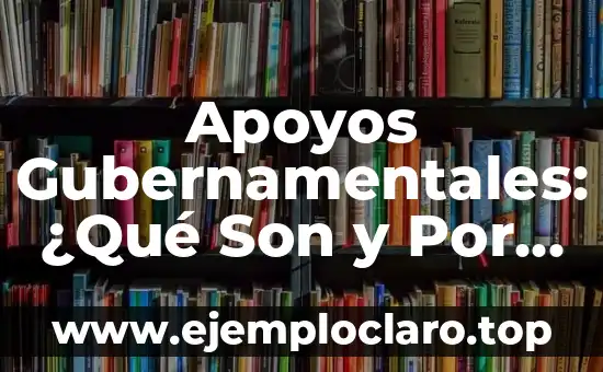 Significados fundamentales de la libertad 7 Apoyos Gubernamentales: ¿Qué Son y Por Qué Son Fundamentales?
