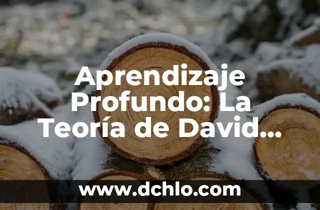 Tipos de Aprendizaje Significativo Ausubel: Guía Completa con Ejemplos 5 Aprendizaje Profundo: La Teoría de David Ausubel