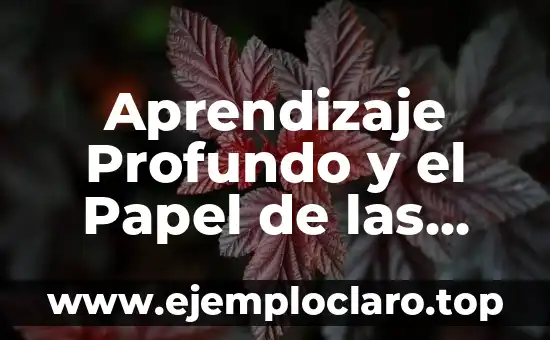 Concepto de Estrategias de Aprendizaje Significativo 6 Aprendizaje Profundo y el Papel de las Proposiciones