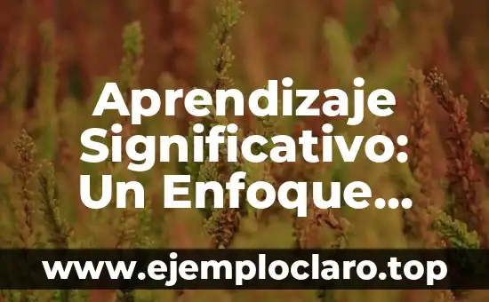 Concepto de Aprendizaje Significativo y Ejemplos 4 Aprendizaje Significativo: Un Enfoque Educativo Innovador